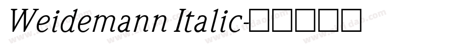 Weidemann Italic字体转换